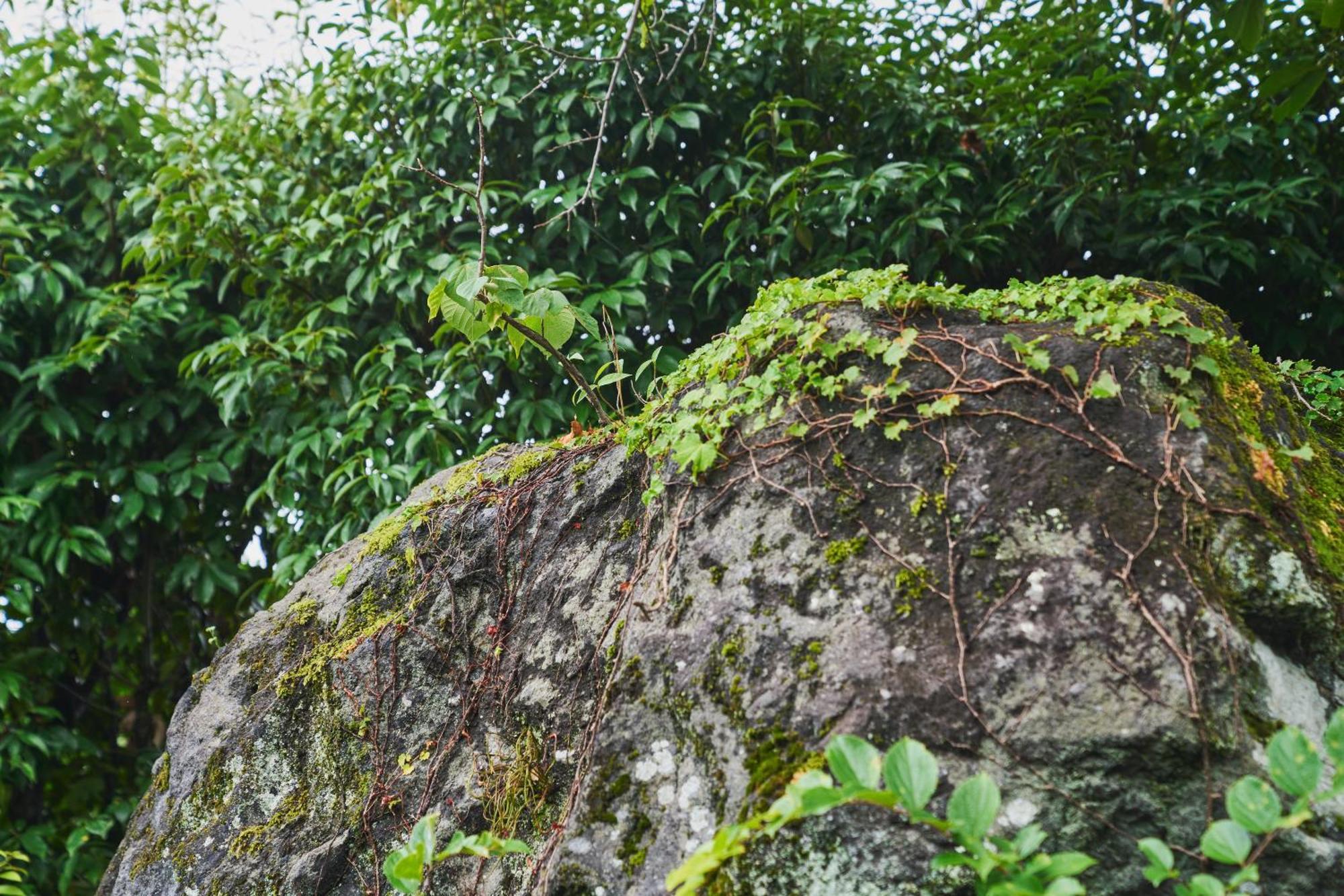 Villa 温泉付きの一軒家を借りよう Beppu Exterior foto